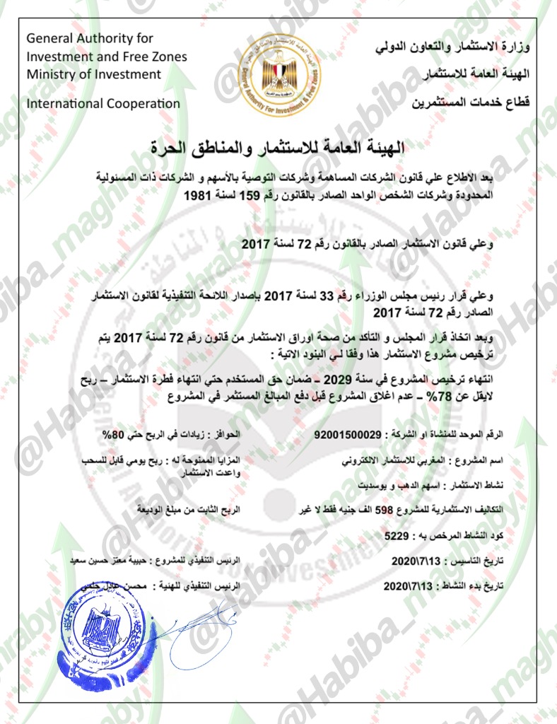 مستند الهيئة العامة للاستثمار